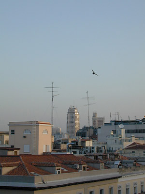 torre002